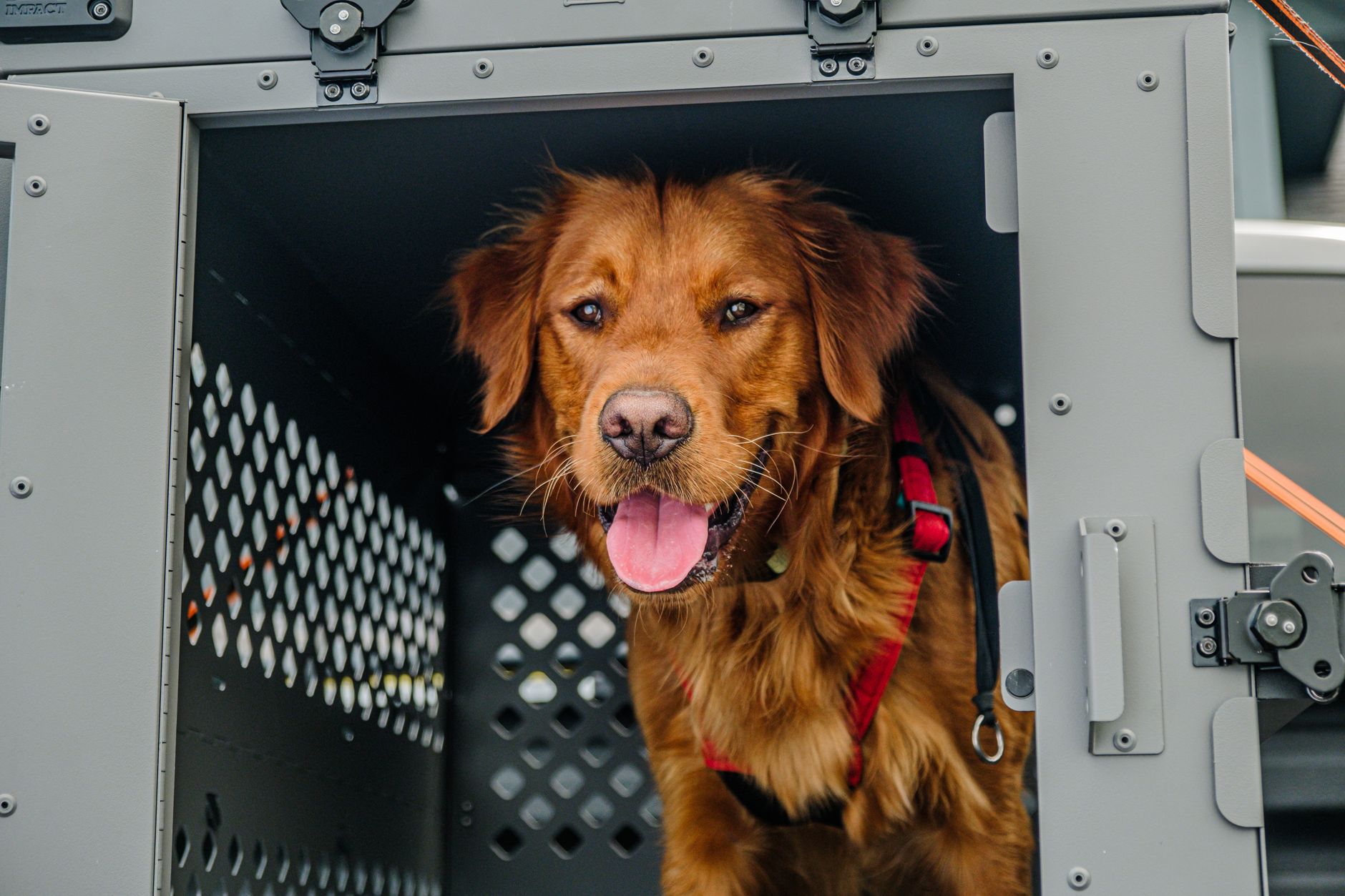 Airline-approved dog crate ready for a trip.