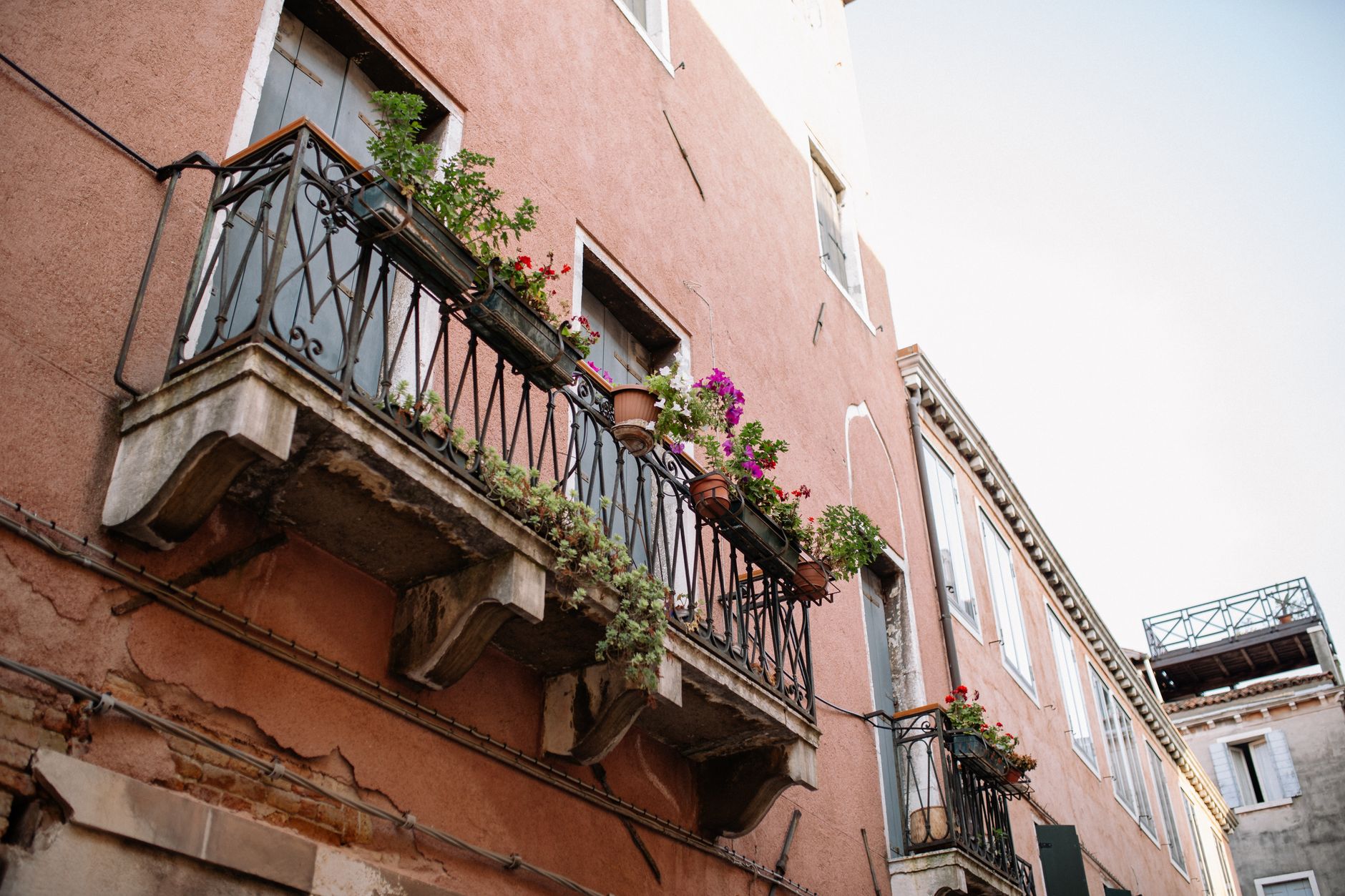 A vertical garden setup on a small balcony.