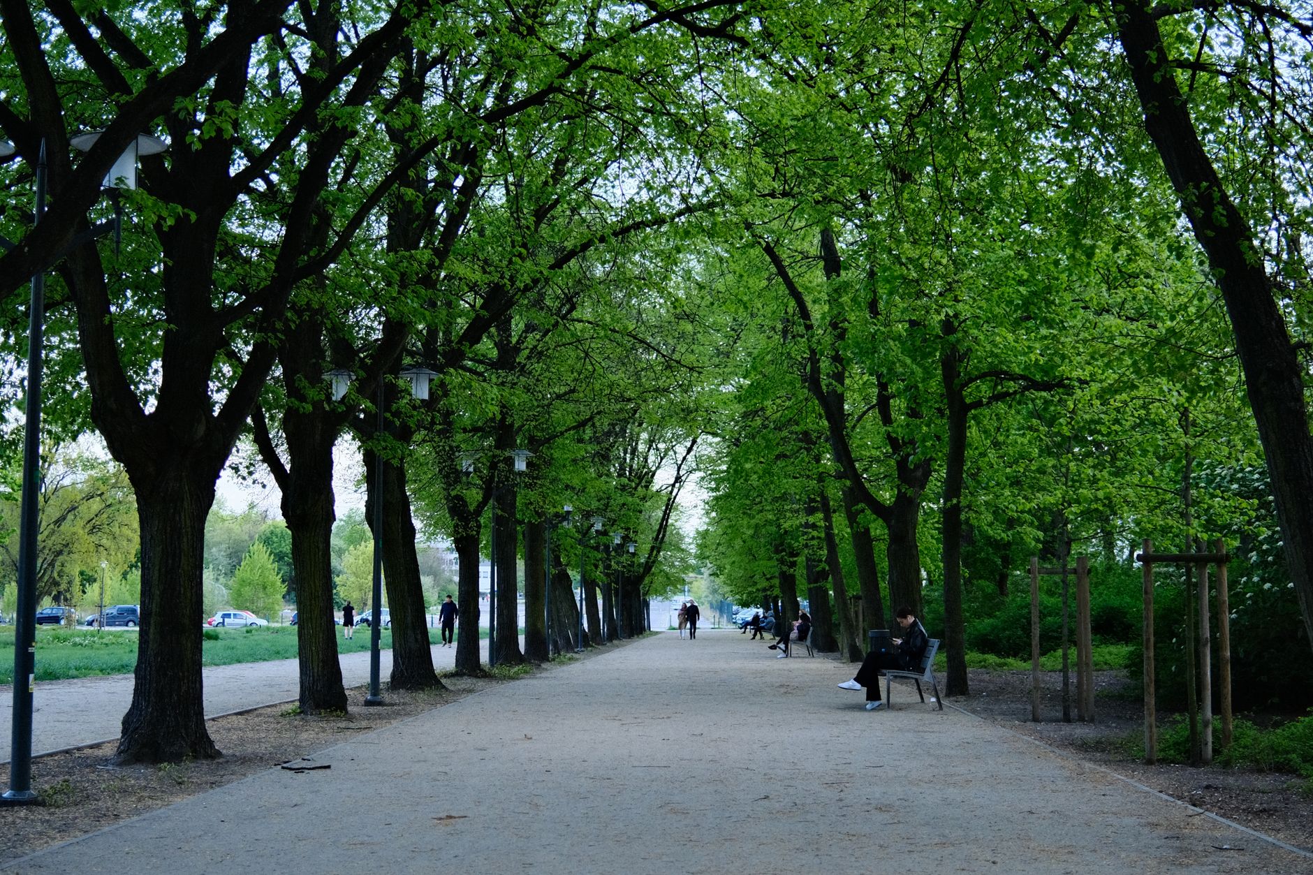 A person enjoying a quiet stroll in a green urban park.