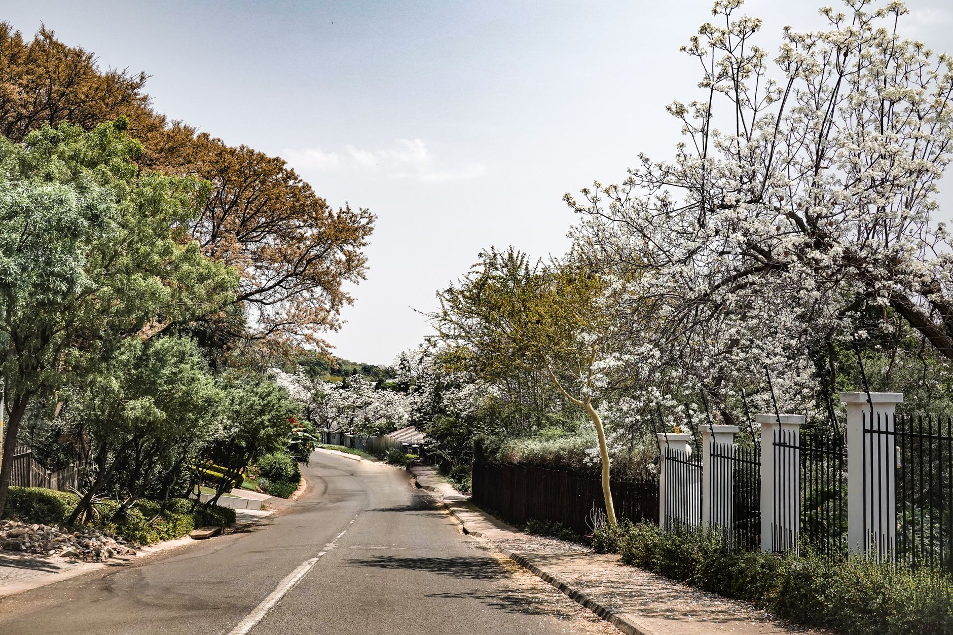 A quiet, picturesque suburban neighborhood.