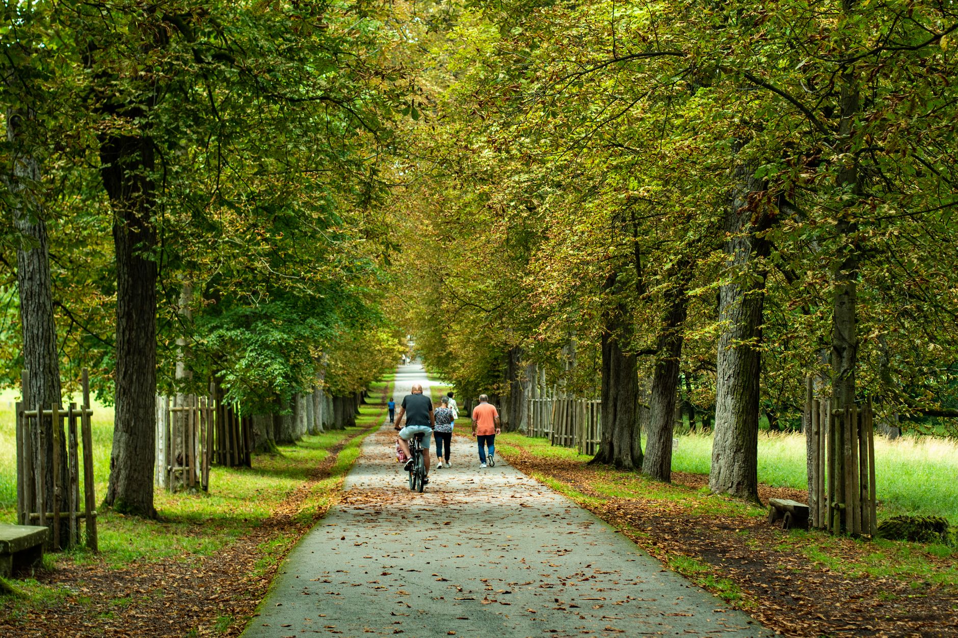 A family taking a peaceful walk in the park during the afternoon.