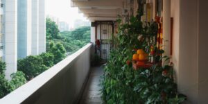 A thriving urban apartment balcony garden filled with plants.