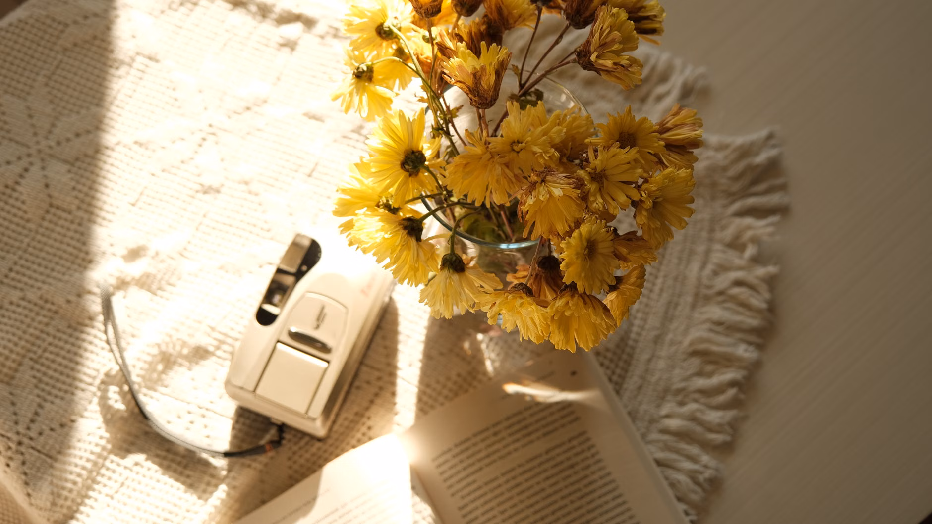 Cozy home atmosphere with film literature and textures.