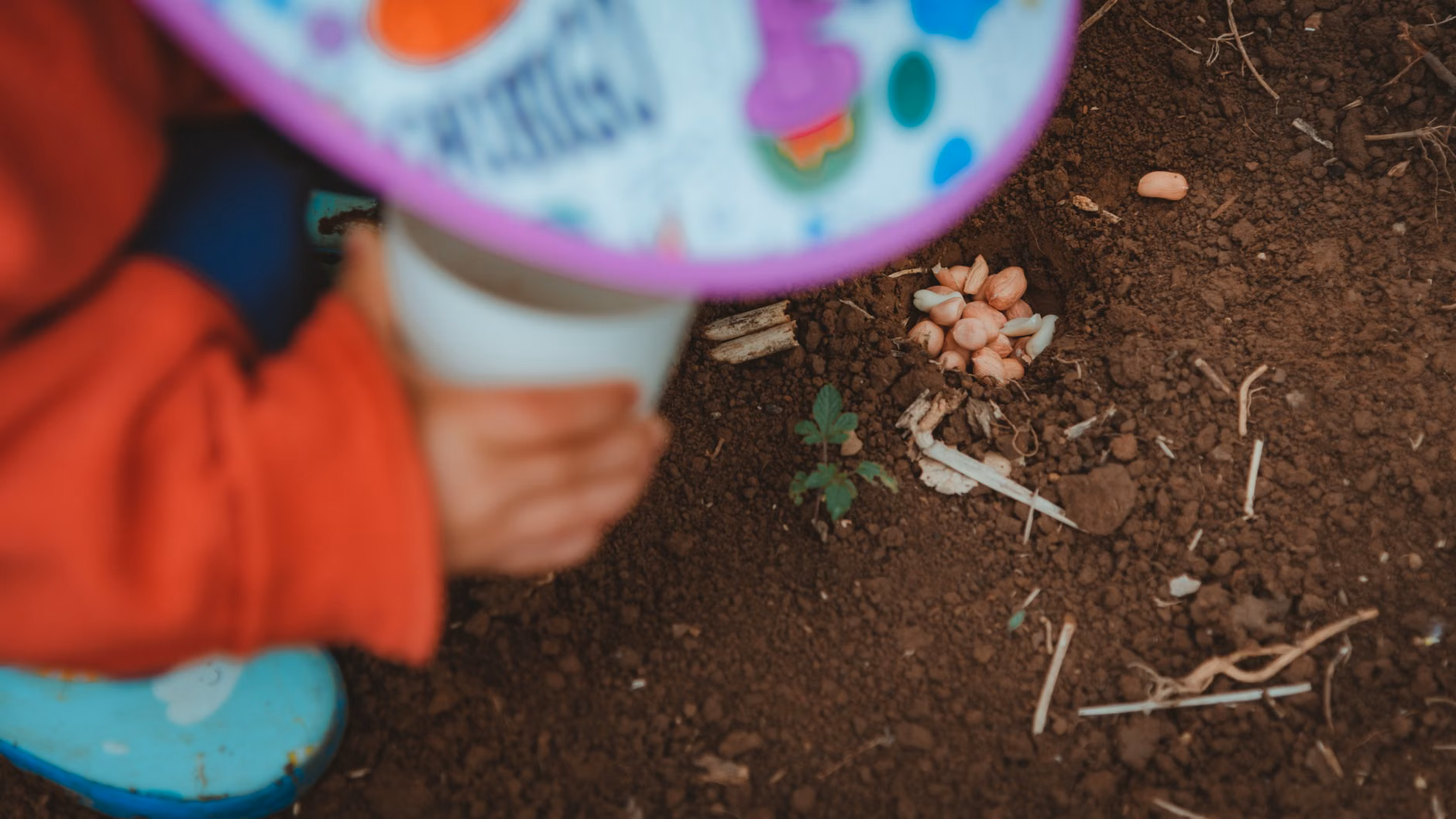 A child planting a seed, symbolizing the slow process of growth and patience.