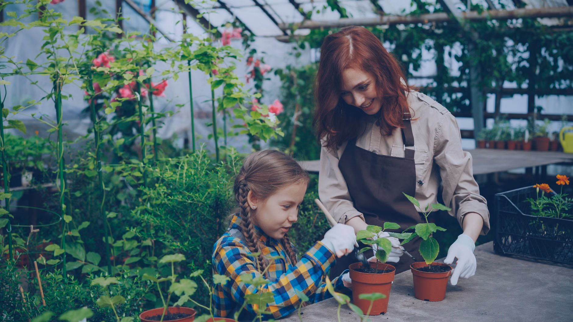 Hands of a parent and child planting a seedling together.