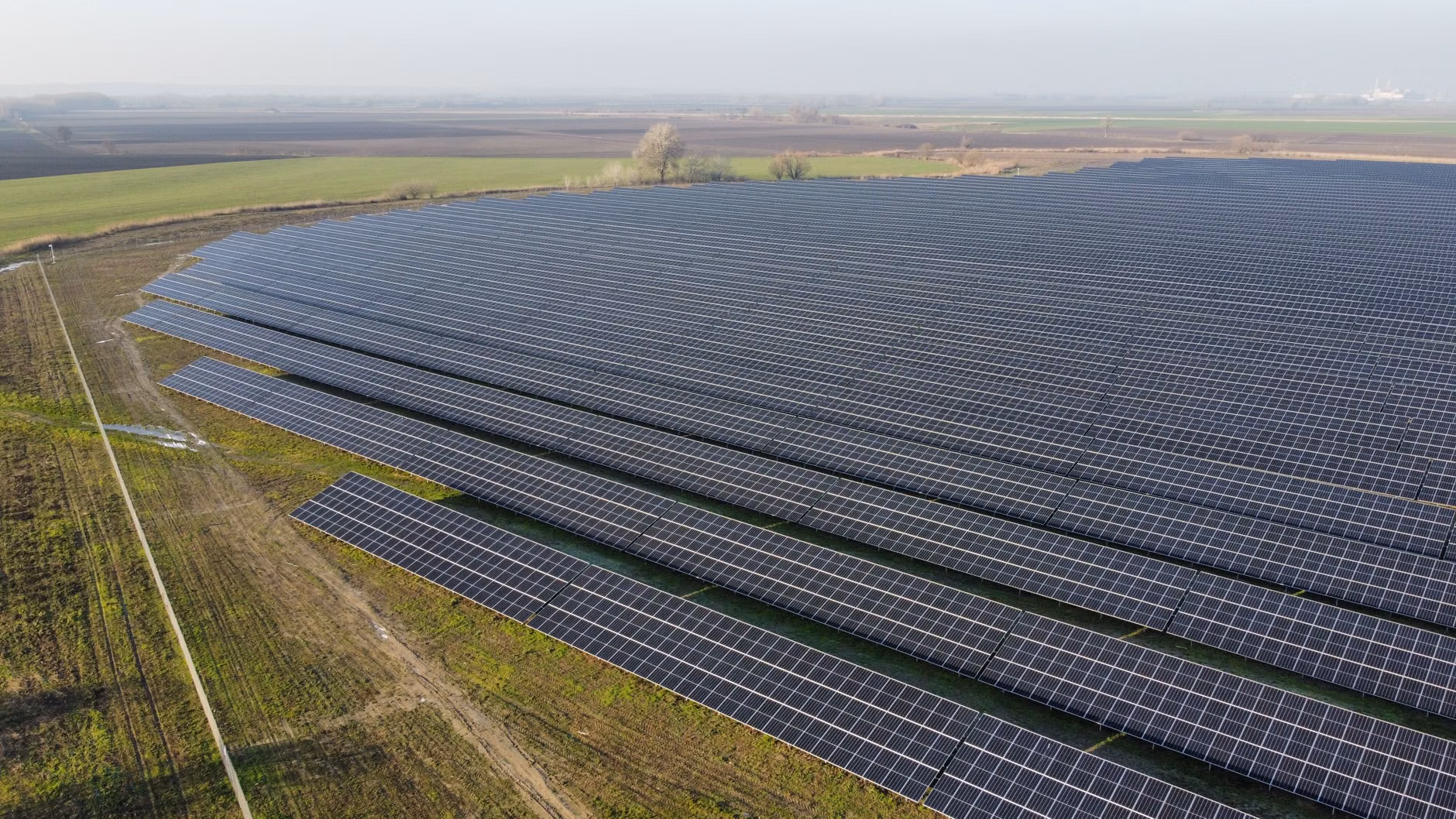 A vast field of solar panels capturing sunlight to generate clean energy.