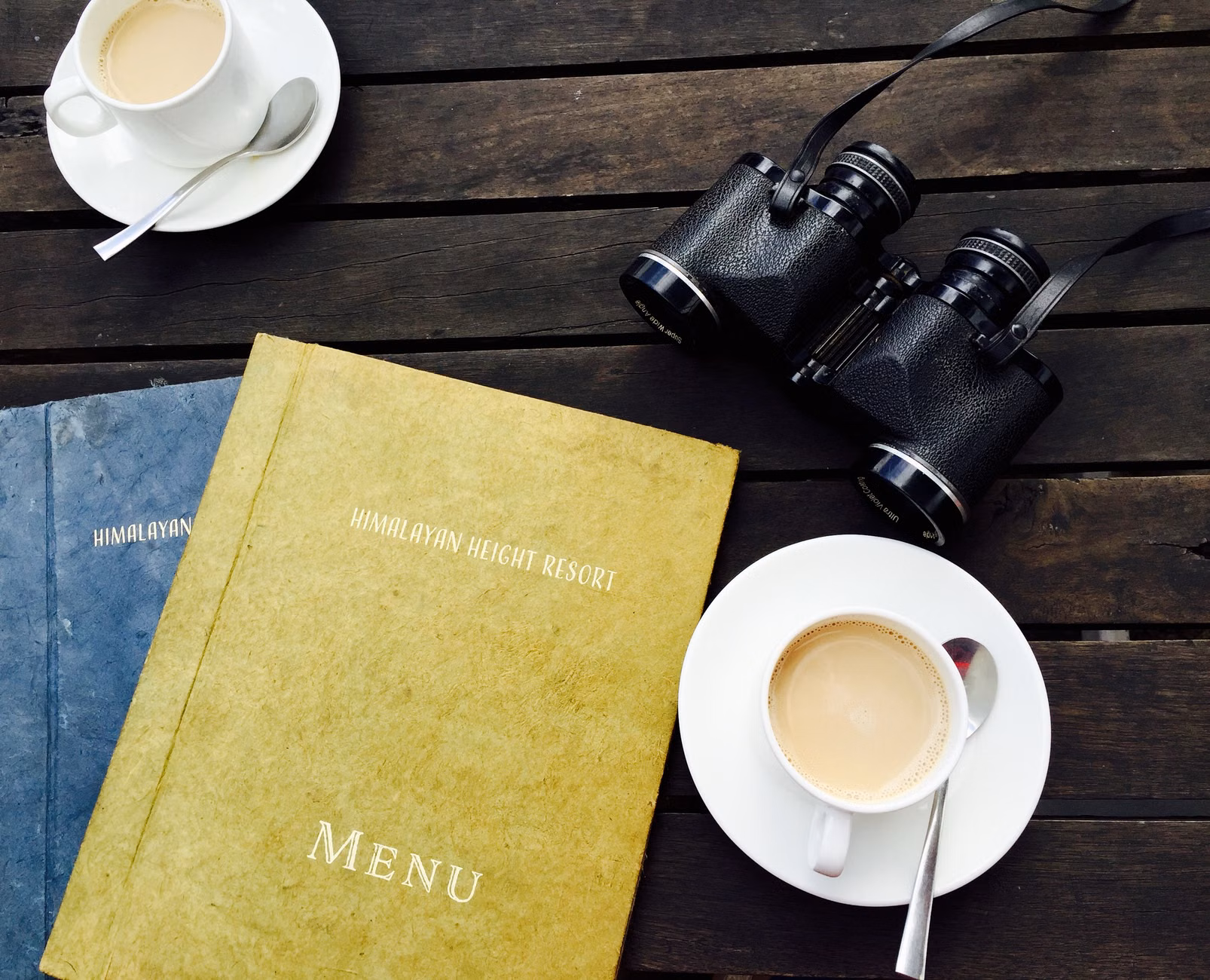 Birding binoculars and a field guide on a wooden table.