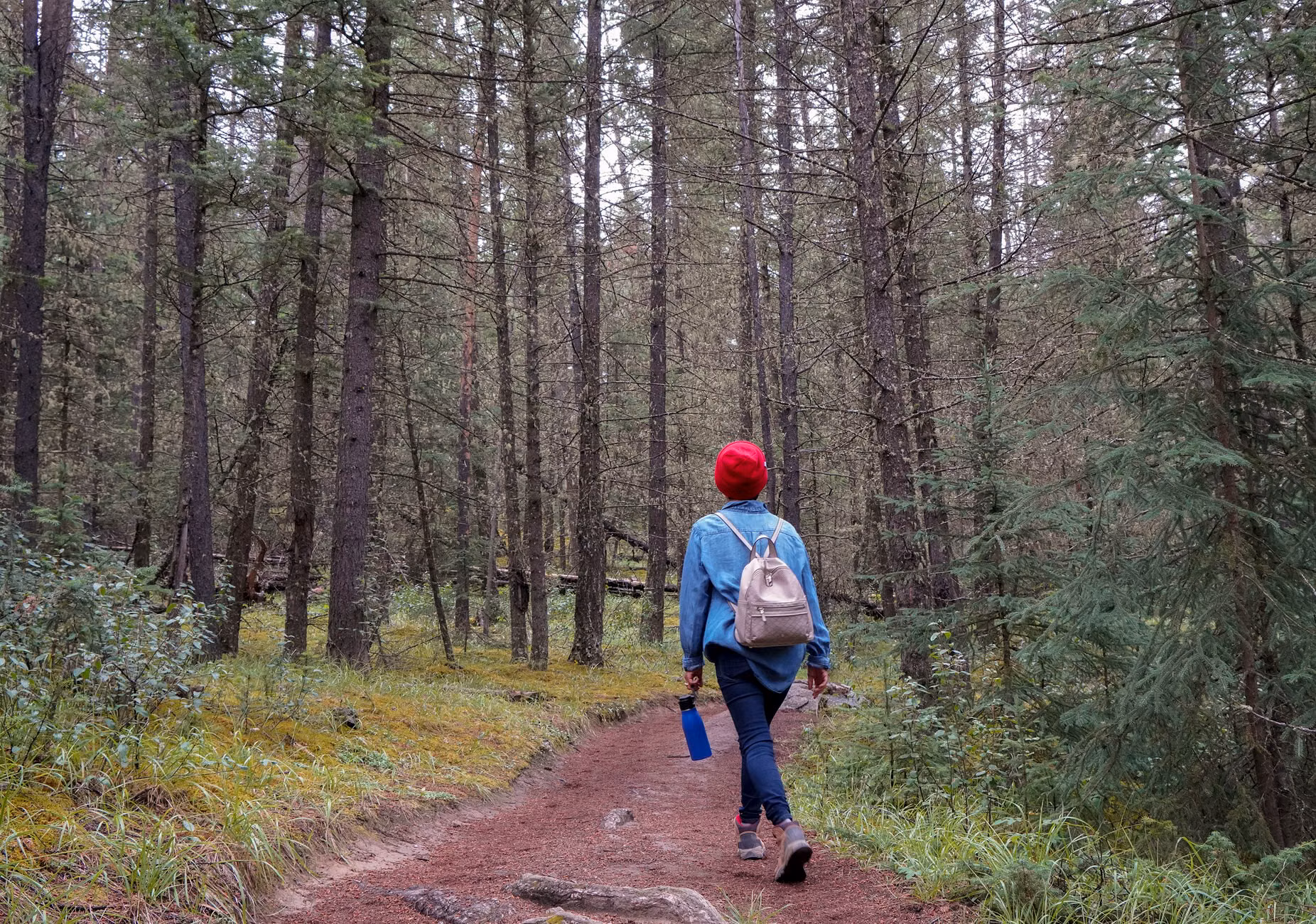 A person walking solo on a nature trail, representing the mental clarity gained from a short retreat.