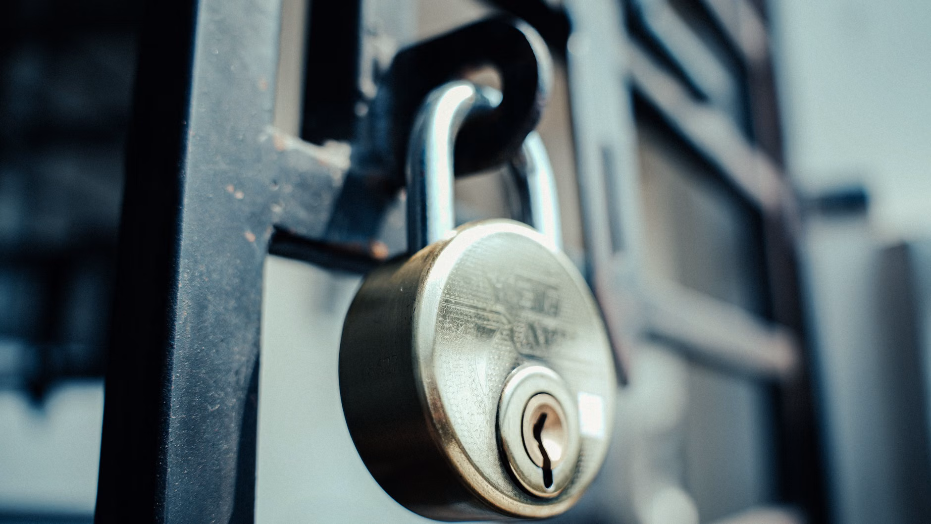 Conceptual art showing a digital lock guarding a family tree.