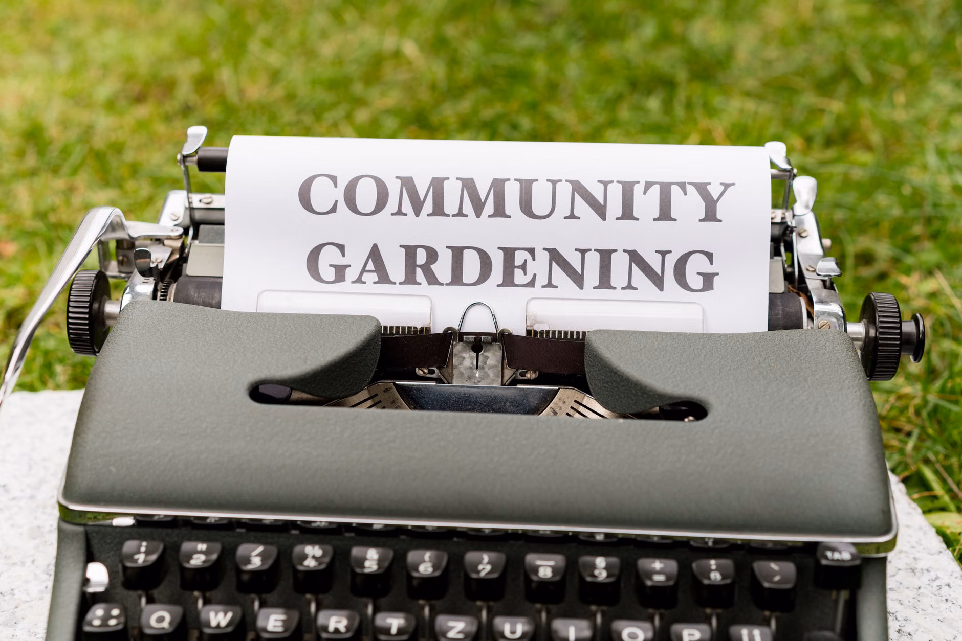 A collaborative neighborhood garden space.