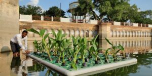 A modern garden setup featuring smart irrigation technology at golden hour.