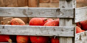 A rustic wooden crate filled with fresh, seasonal farm produce on a kitchen counter.