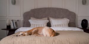 A calm, neutral-toned bedroom designed for relaxation and sensory regulation.
