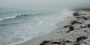 A peaceful, uncrowded coastal beach during the off-peak season.