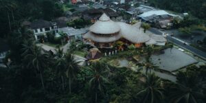 A scenic view of a sustainable family-friendly eco-resort in a forest setting.