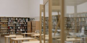 A clean, modern room featuring a curated collection of educational toys on display.
