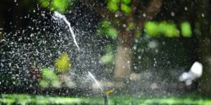 A modern, lush backyard garden at sunset featuring smart irrigation technology.