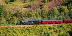 A scenic view of a train traveling through a green landscape, representing the freedom of rail travel.