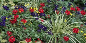 A vibrant, well-planned backyard garden displaying various micro-climates and diverse plant life.