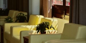 A peaceful, sunlit living room representing a calm state of mind for busy parents.
