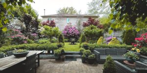 A vibrant backyard garden designed with various sun and shade zones.