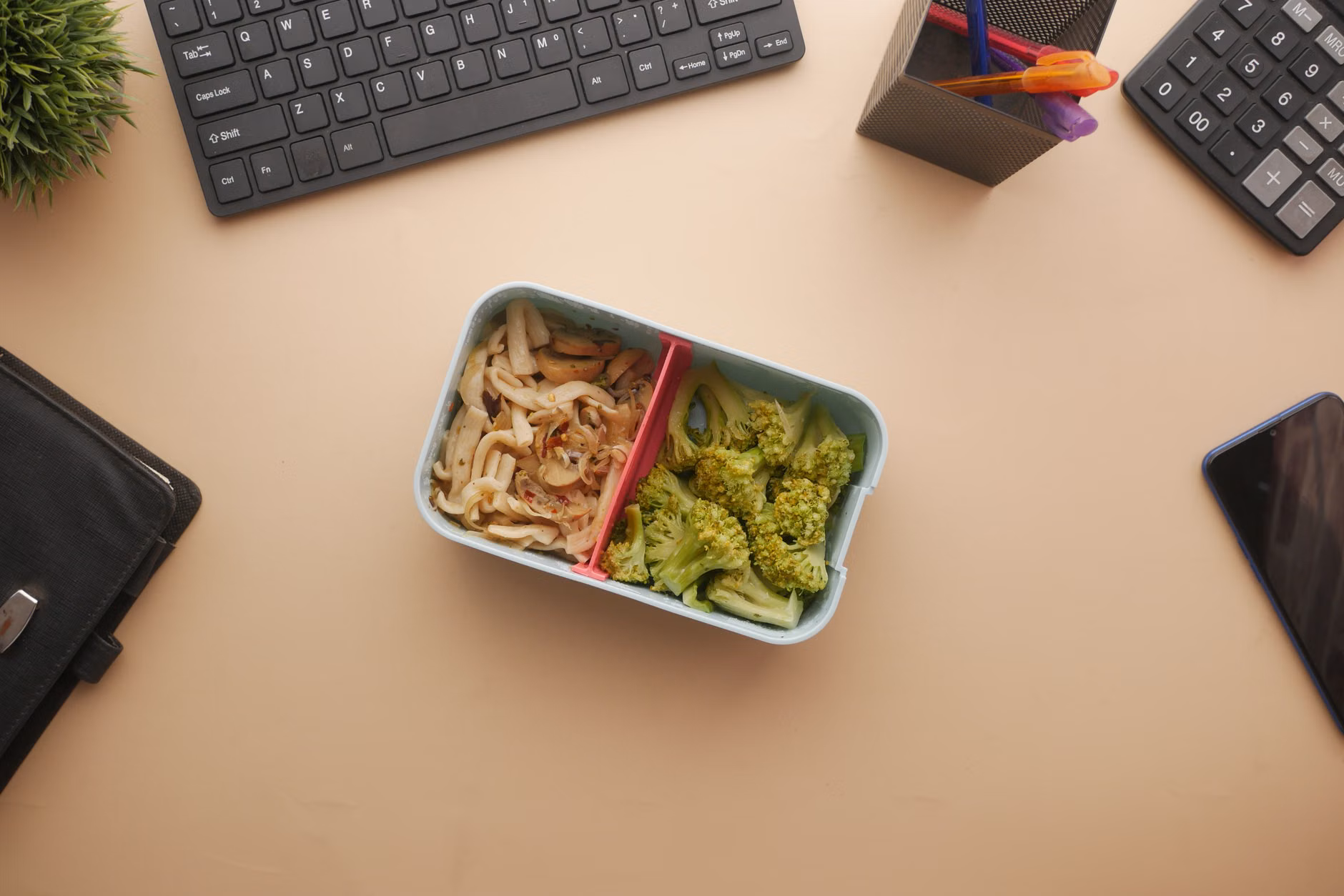 Divided lunchbox with high-contrast, colorful food items for sensory appeal.