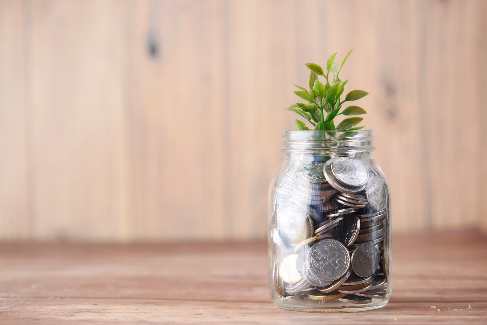 A glass jar of coins with a small plant growing from it to represent financial growth.