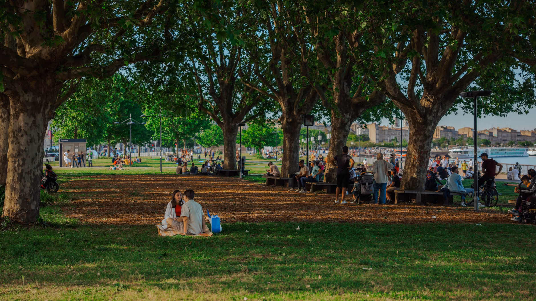 Local urban park scene with families relaxing on a picnic blanket.