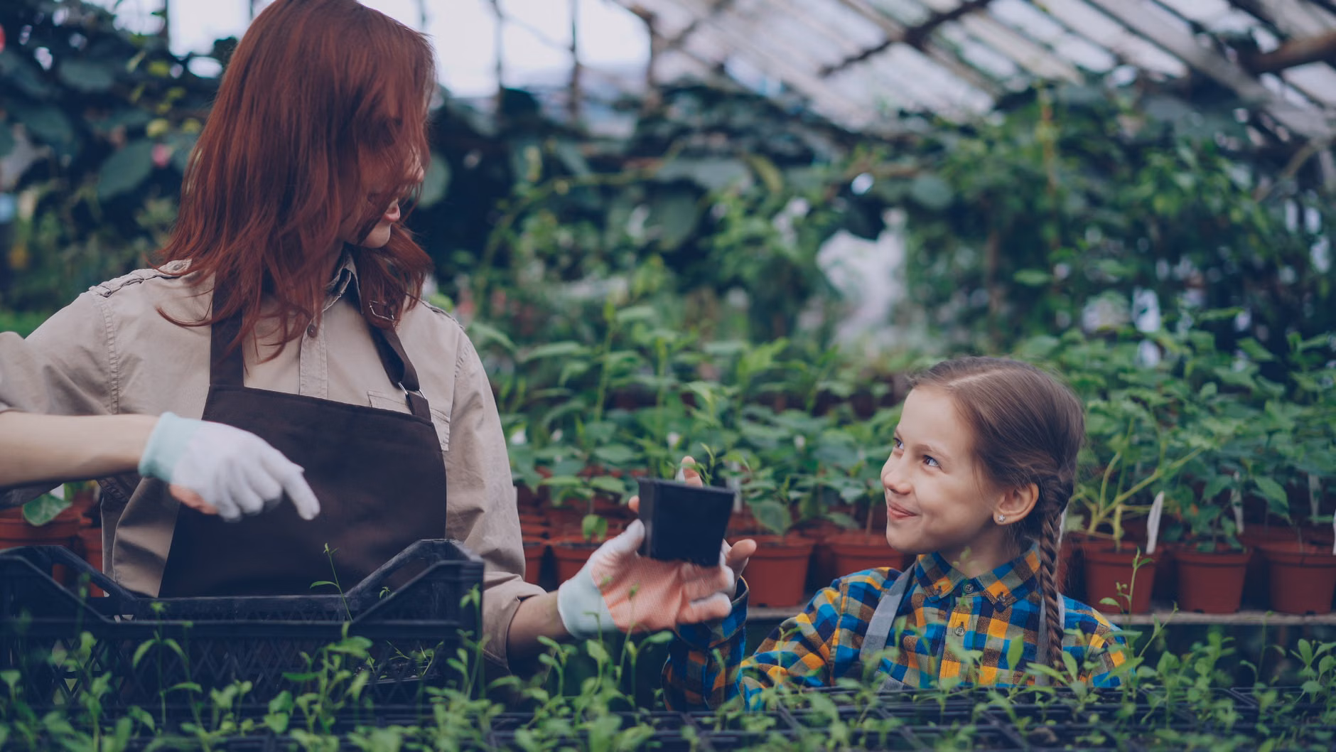 Parent and child gardening together.