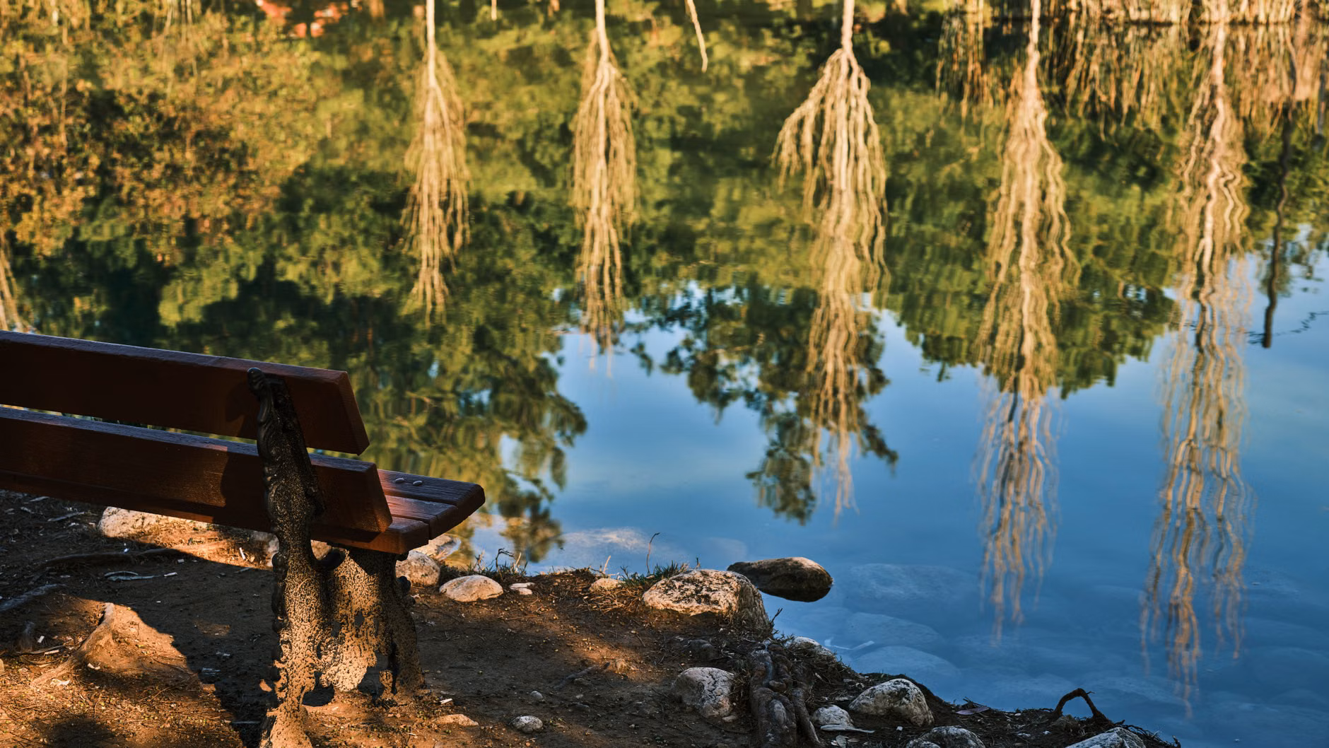 A peaceful and quiet local spot perfect for a relaxing staycation.