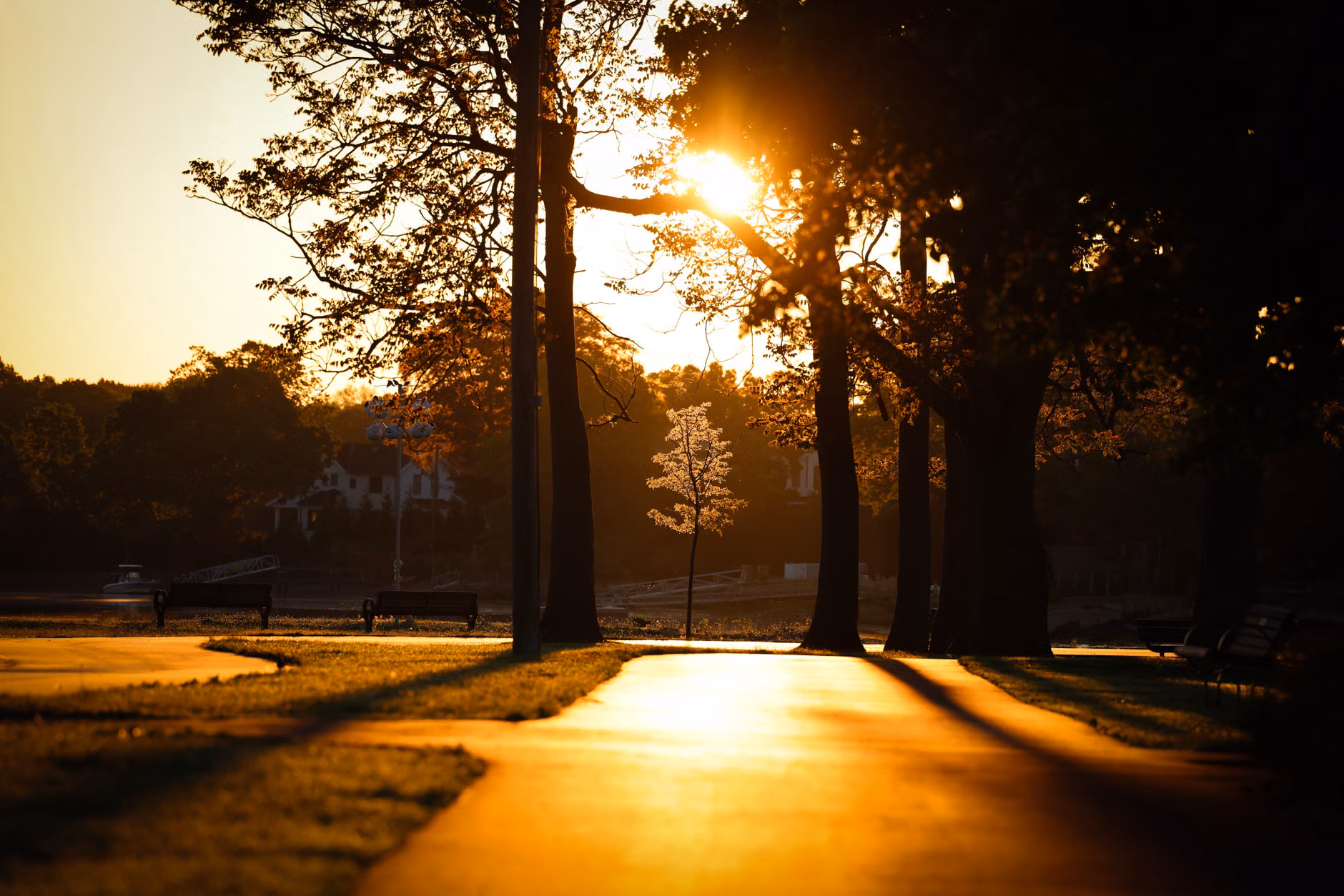 A quiet, scenic walking path during the golden hour, perfect for slow exploration.