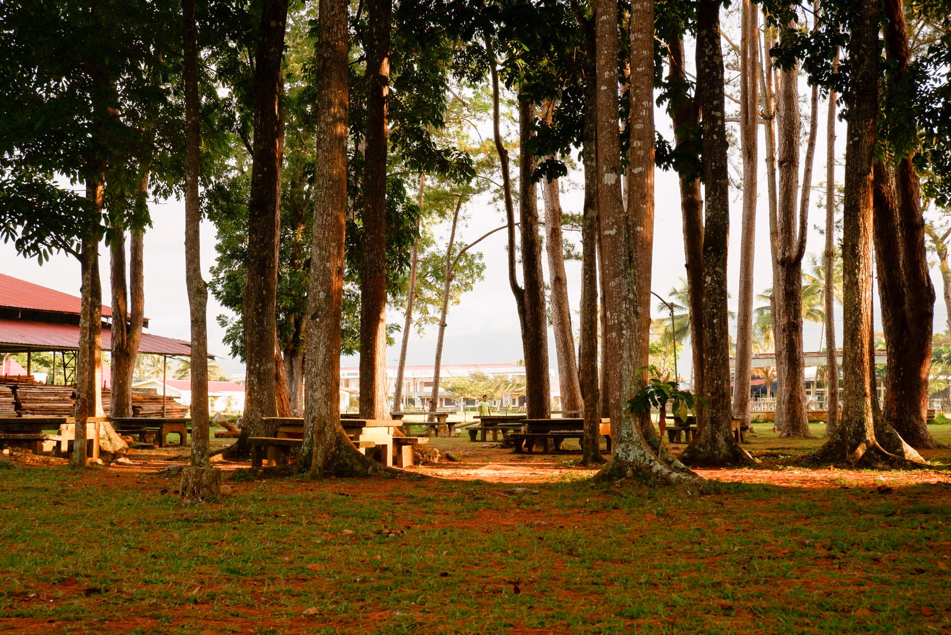 A quiet, shaded picnic area in a clean local park.