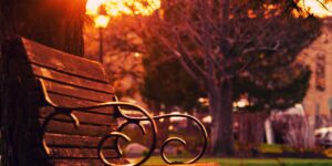 A warm, inviting micro-library in a park during golden hour.