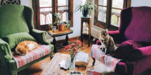 A cozy, sunlit living room setup for a book club meeting with coffee and books.