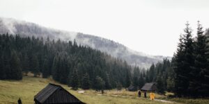 A peaceful mountain retreat cabin surrounded by mist and evergreen trees.
