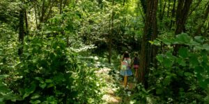 A family exploring a lush, local forest ecosystem together during a hike.