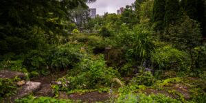 A peaceful garden hidden in a busy city, representing the quiet tourism trend.