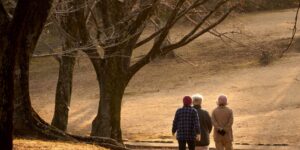 A family enjoying a slow-paced hike together on a gentle forest path.