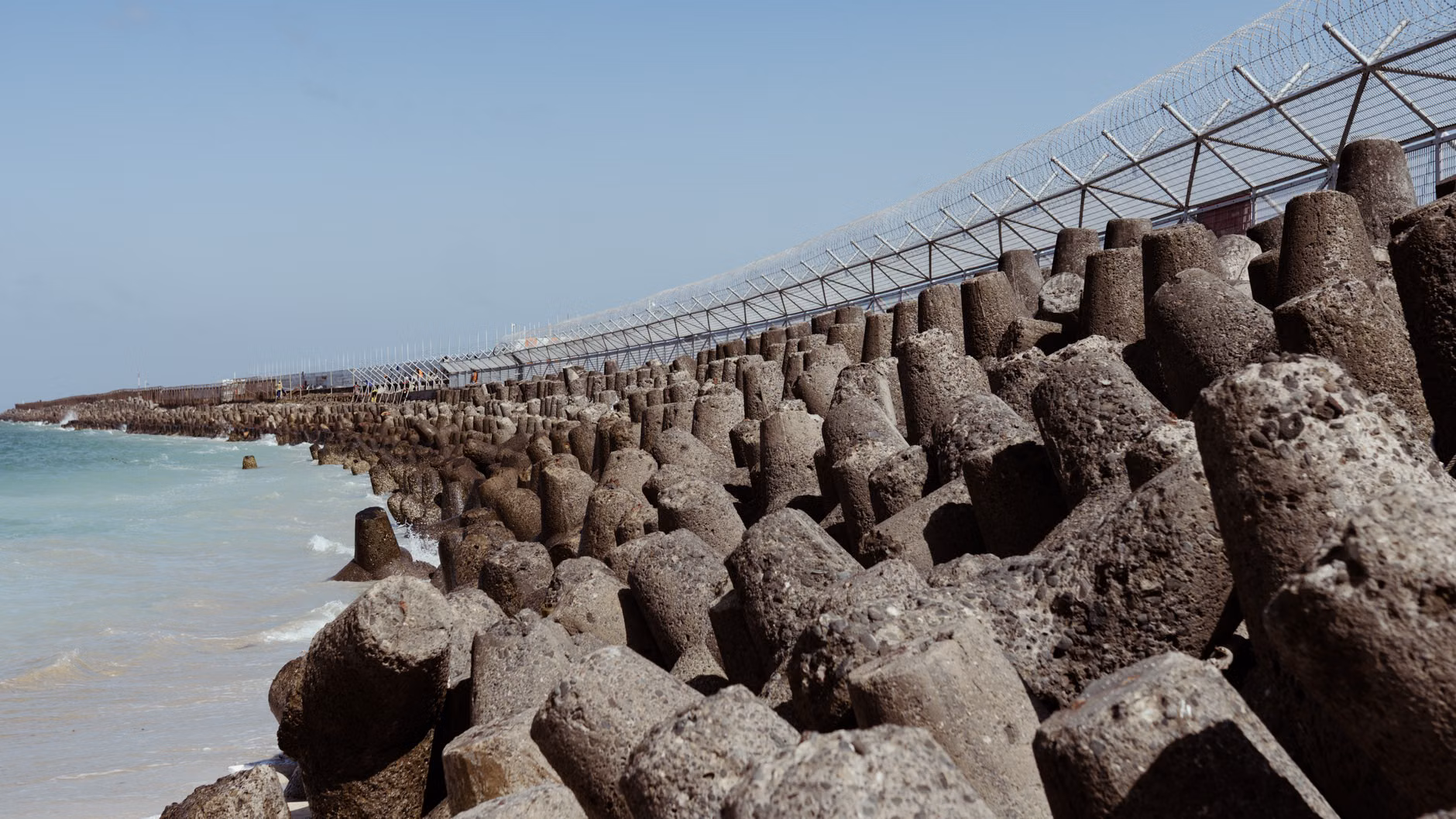 Diagram showing natural coastal erosion protection methods.