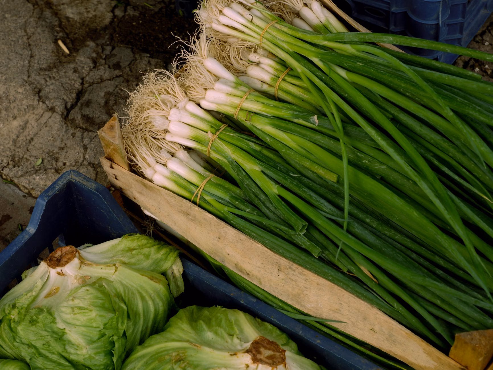 Fresh organic vegetables in a wooden crate.