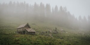 A peaceful, isolated cabin in a misty forest during early morning.