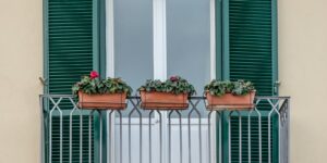 A vibrant balcony garden filled with native plants in pots, bathed in natural sunlight.