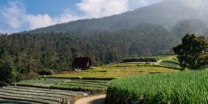 A scenic view of a family-friendly agritourism farm stay in the countryside.