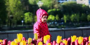 A child exploring nature in a city park.