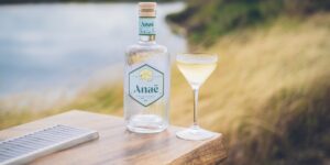 A sophisticated zero-proof drink setup on a dining table.