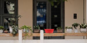 A thriving urban balcony garden with various plants in containers under soft morning light.
