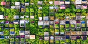 A flourishing urban community garden on a city rooftop.